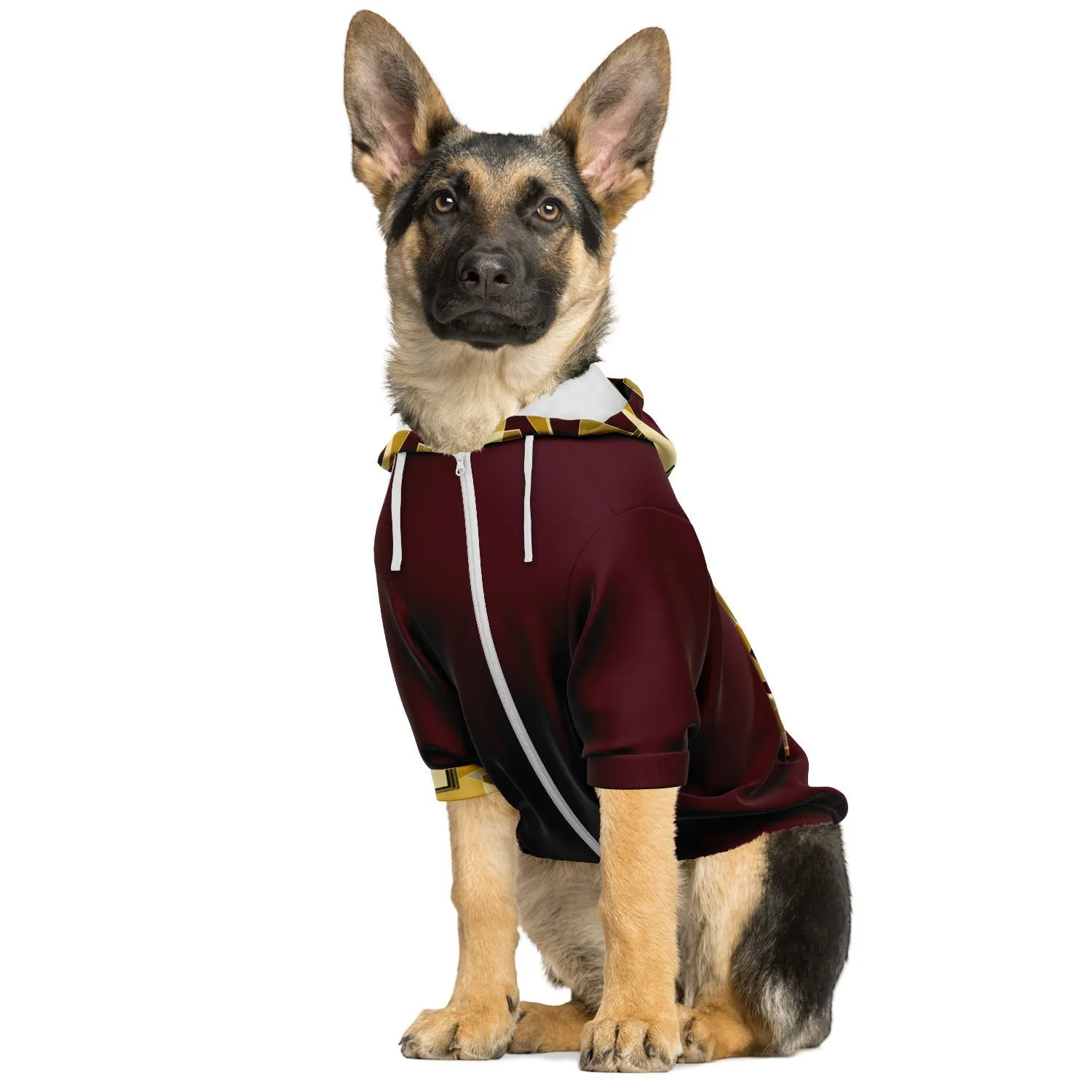 Cinna Zip-Up