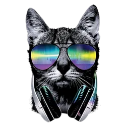 DJ Cat T-Shirt