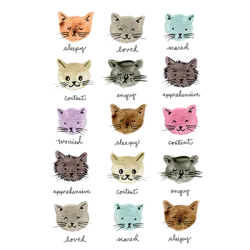 Moody Cats T-Shirt