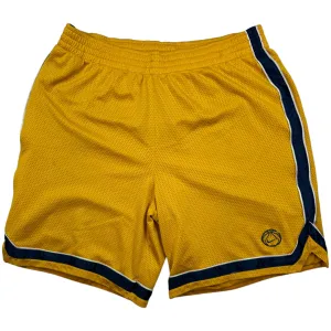 NIKE “BASKETBALL SWOOSH” SHORTS - (L)