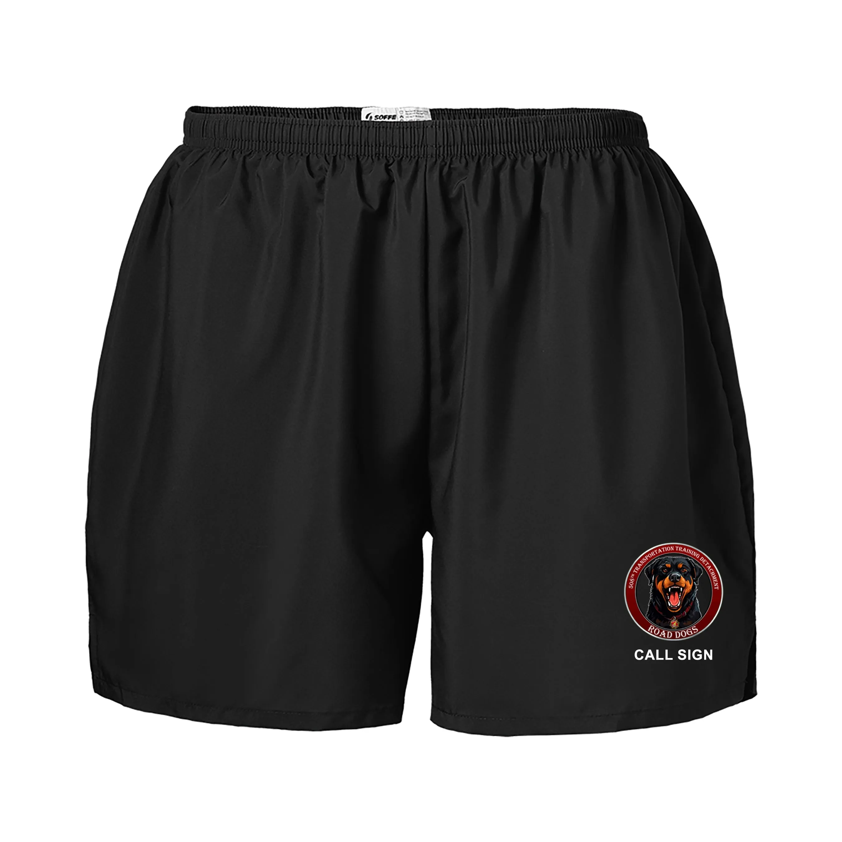 PT Shorts. These Shorts are NOT Approved for PT.