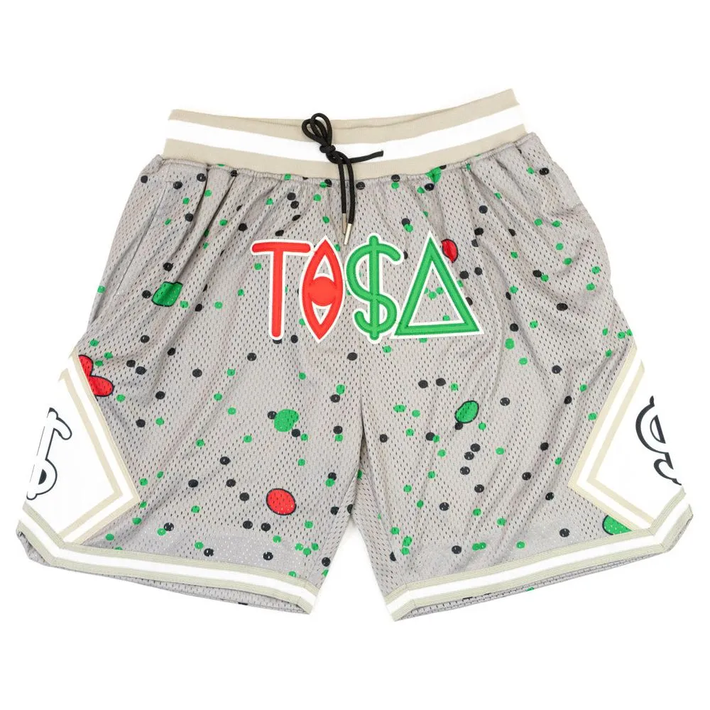 TISA BART BASKETBALL SHORTS GREY