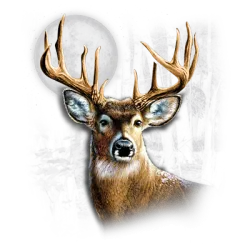 Whitetail Wilderness (Darks Only) T-Shirt