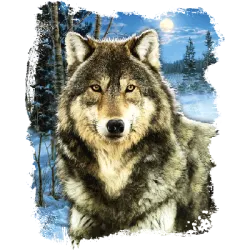 Winter Wolf- T-Shirt