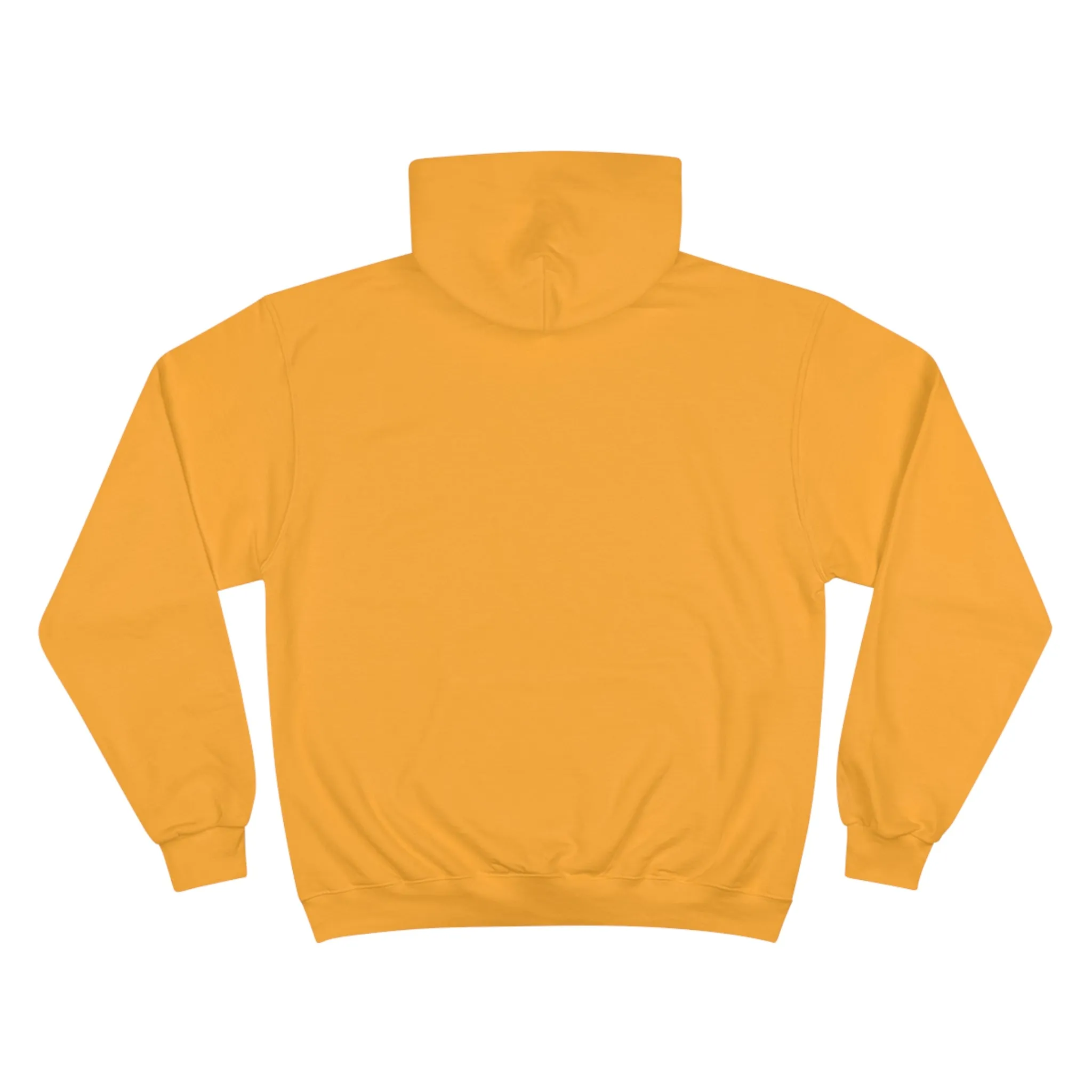Woman, Warrior, Veteran Champion Hoodie